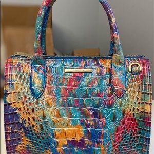 Brahmin Small Caroline in Crush matching wallet